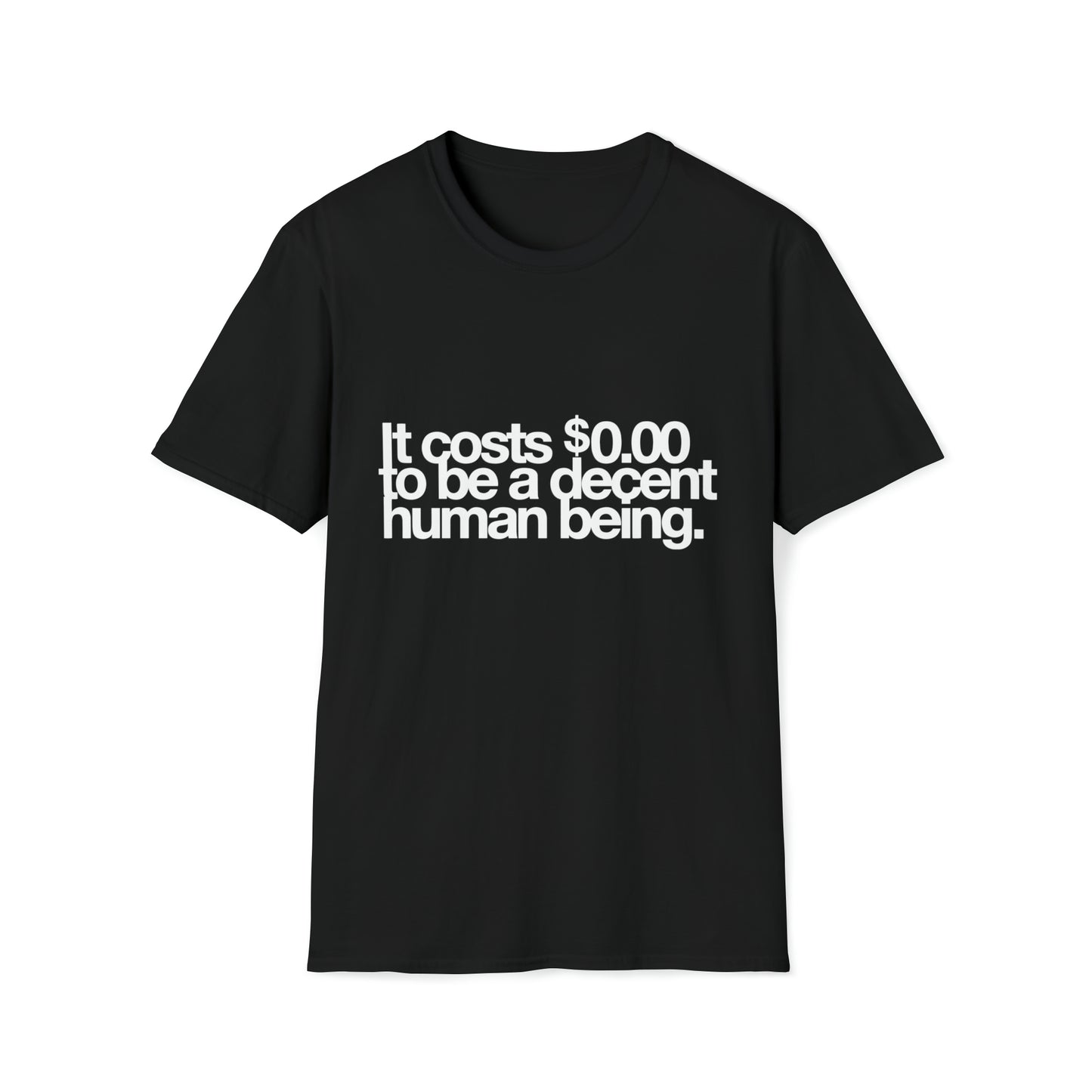 Decent Human Being Tee Shirt